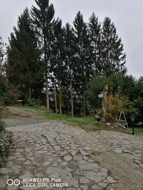 Agriturismo Davide Bossolasco Luaran gambar